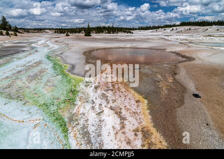 Creek im Norris Geyser Basin, Yellowstone National Park Stockfoto