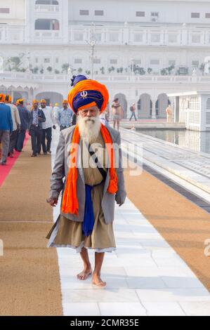 Amritsar, Indien - 21. November 2011: Der Sikh-Pilger im Golden Temple Complex. Amritsar, Punjab, Indien. Stockfoto