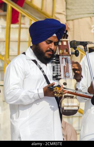 Amritsar, Indien - 21. November 2011: Sikh-Musiker im Golden Temple Complex, Amritsar, Punjab, Indien. Stockfoto