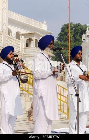 Amritsar, Indien - 21. November 2011: Sikh-Musiker im Golden Temple Complex, Amritsar, Punjab, Indien. Stockfoto