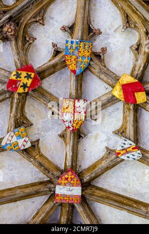 Wappen an der Kreuzgang-Decke in der Kathedrale, Canterbury, Kent, England Stockfoto