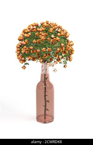 Bouquet von orangen Rosen in einer Glas roten runden Vase Isoliert auf weißem Hintergrund - 3D-Rendering Stockfoto