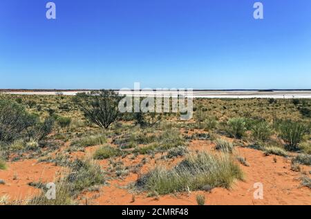 Auf dem Lasseter Highway Richtung Uluru im australischen Outback Mit dem Amadeus-See im roten Zentrum Stockfoto