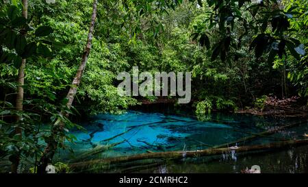 Blauer oder smaragdgrüner Pool im Nationalpark Sa Morakot, Krabi, Thailand. Fantastischer blauer See mitten im Regenwald. Stockfoto