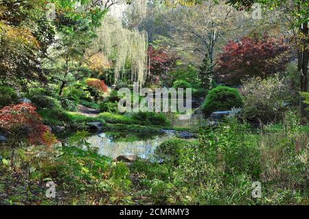 Landschaft des Japanischen Gartens in Amerika Stockfoto