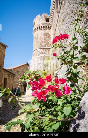 Die Steinmauern und der Turm der berühmten Caetani Burg von Sermoneta, kleine mittelalterliche Stadt in der Region Latium. Italien Stockfoto