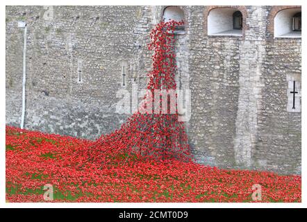 Erster Jahrestag des Ersten Weltkriegs im Tower of London, mit Tausenden von Keramik-Mohnblumen, die jedes im Krieg verlorene Leben darstellen, 2014 Stockfoto