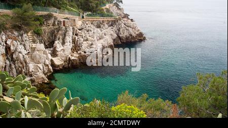 Kaktus, Klippen, blaues Meer und Treppen, blaues mittelmeer, Französische riviera, Frankreich. Stockfoto