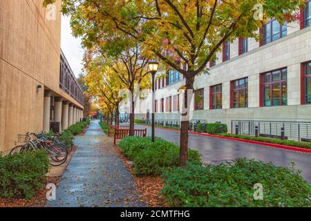 Stanford University Campus an herbstlichen Regentagen, Palo Alto, Kalifornien, USA. Stockfoto