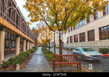 Stanford University Campus an herbstlichen Regentagen, Palo Alto, Kalifornien, USA. Stockfoto