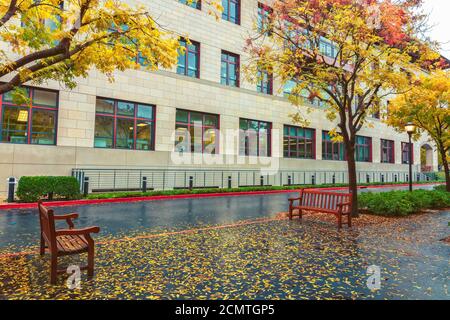 Stanford University Campus an herbstlichen Regentagen, Palo Alto, Kalifornien, USA. Stockfoto