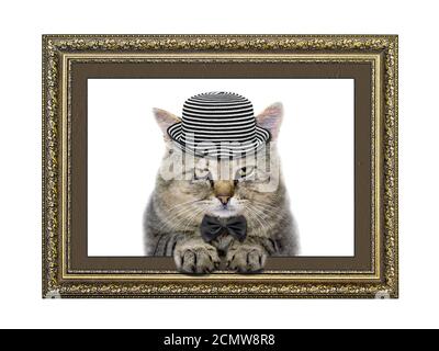 Katze im Hut und Fliege schaut aus dem Bilderrahmen Stockfoto