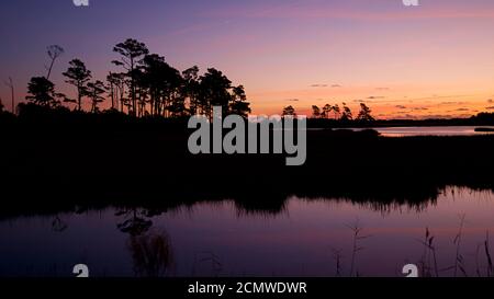 Sonnenuntergang über Assateague Island über Sümpfen, Salzwasserbucht mit der Silhouette der Insel mit Bäumen. Stockfoto