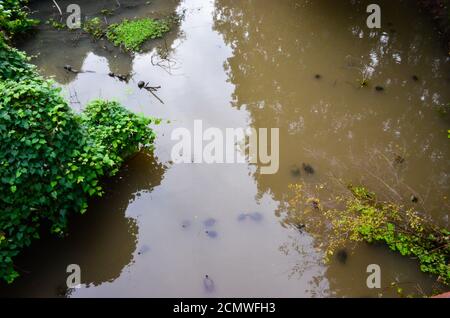 Oyster Creek Park, Sugar Land, Texas, USA. September 11, 2020 Stockfoto