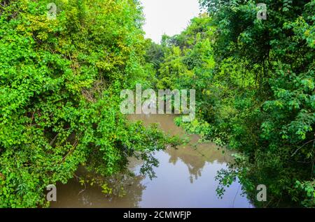 Oyster Creek Park, Sugar Land, Texas, USA. September 11, 2020 Stockfoto