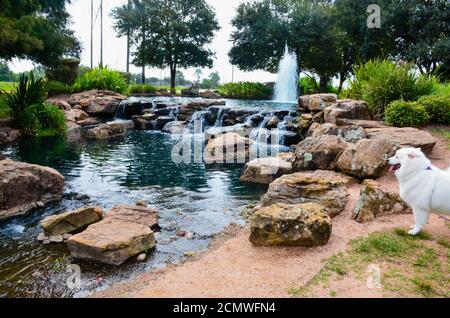 Oyster Creek Park, Sugar Land, Texas, USA. September 11, 2020 Stockfoto