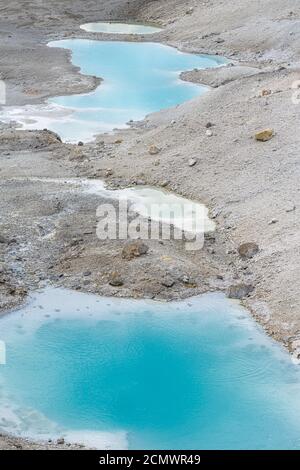 Porcelain Springs, Norris Geyser Basin, Yellowstone National Park Stockfoto