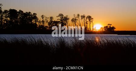 Sonnenuntergang über Assateague Island über Sümpfen, Salzwasserbucht mit der Silhouette der Insel mit Bäumen. Stockfoto