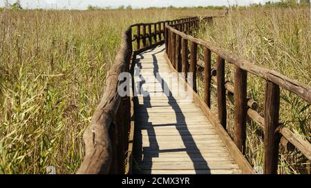 Il ponte sul lago di Massaciuccoli, Provincia di Lucca, un osservatorio naturale. Il ponte di legno tra la palude lacustre. Una strada di legno. Stockfoto