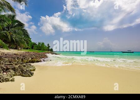 Getönte fantastische Landschaft karibische Küste Stockfoto