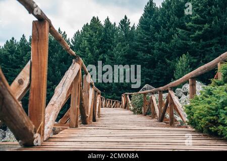 Eine Holzbrücke mitten in einem Wald in Bulgarien. Wunderschöne Naturlandschaft Stockfoto