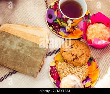 Tasse Tee-Plätzchen und Vintage-Buch auf einem karierten In der Herbstsaison Stockfoto