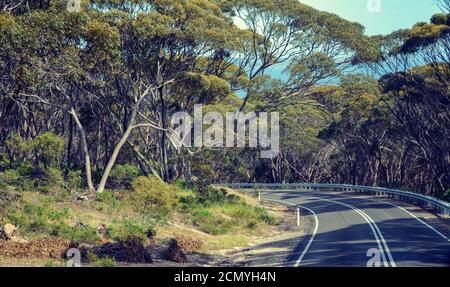 Straße durch Wald auf Kangaroo Island Australien, vor 2019 Bränden. Stockfoto