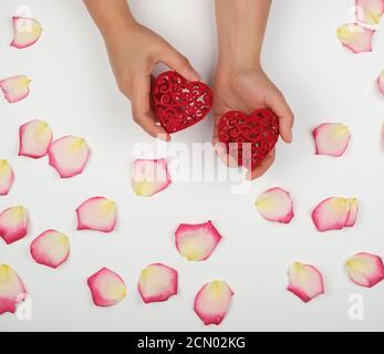 Weibliche Hände halten rotes Herz, weißer Hintergrund mit rosa Rosenblüten Stockfoto