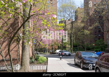 Gehweg und Straße in der Nachbarschaft von Stuyvesant Town in Manhattan Stockfoto