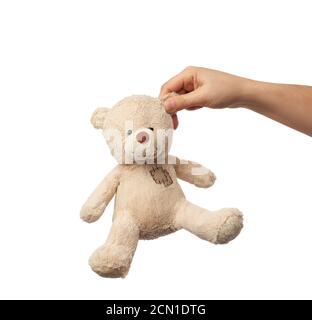 Weibliche Hand hält das Ohr eines kleinen beige niedlich teddybär mit Flecken Stockfoto