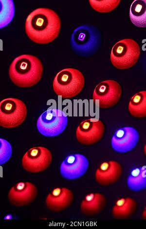 Paneel für den Anbau von Pflanzen im Innenbereich mit einem breiten Spektrum an Farben in rot, blau, lila Stockfoto