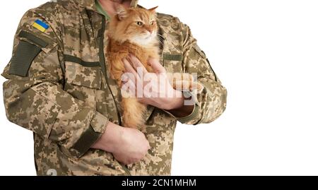 Mann Krieger in der Uniform der ukrainischen Armee hält Eine Erwachsene rote Katze unter seiner Kleidung Stockfoto