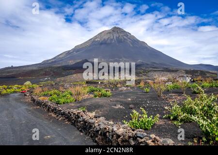 Pico do Fogo und Reben in Cha das Caldeiras, Kap Verde Stockfoto