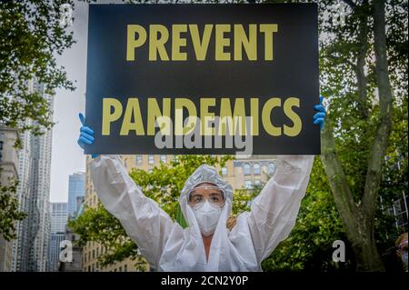 USA. September 2020. Am 17. September versammelten sich 2020 Aktivisten des Extinction Rebellion NYC und des Animal Rebellion NYC am Foley Square für eine gewaltfreie direkte Aktion, die Tiergerechtigkeit, Klimagerechtigkeit und Rassengerechtigkeit mit der aktuellen COVID-19-Krise im öffentlichen Gesundheitswesen verbindet, die ihrer Meinung nach die Regierung schrecklich misshandelt hat. (Foto von Erik McGregor/Sipa USA) Quelle: SIPA USA/Alamy Live News Stockfoto