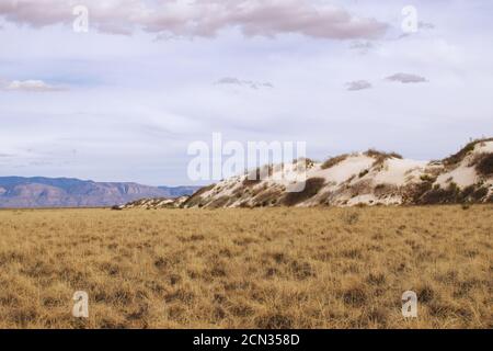 Grasland trifft auf White Sands National Park Gipsdünen Stockfoto