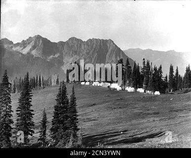 John Reese's Zelthotel Camp bekannt als Camp of the Clouds below Alta Vista Upper Paradise Valley Mount Rainier National Park (BAR 227). Stockfoto