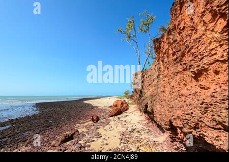 Leuchtend rote Felsen am Rainbow Cliffs, einem beliebten Strand in der Nähe von Nhulunbuy, Gove Peninsula, East Arnhem Land, Northern Territory, NT, Australien Stockfoto