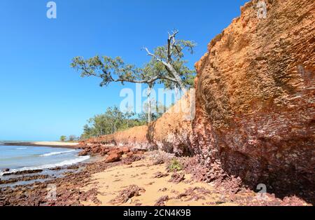 Atemberaubende Aussicht auf leuchtend rote Schichten bei Rainbow Cliffs, einem beliebten Strand in der Nähe von Nhulunbuy, Gove Peninsula, East Arnhem Land, Northern Territory, NT, Austra Stockfoto