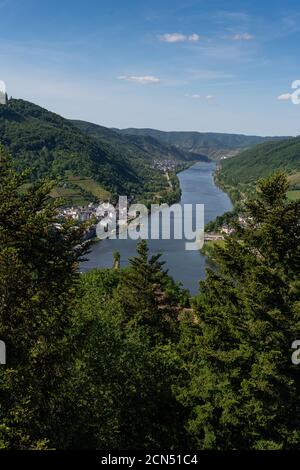 Mit dem Fahrrad auf dem Radweg durch die Landschaft Entlang der Mosel in Rheinland-Pfalz von Trier bis Koblenz Zoll Stockfoto