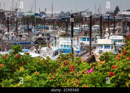 Steveston Paramount Dock und Marina für Vergnügen Handwerk und Angeln Schiffe in British Columbia kanada Stockfoto