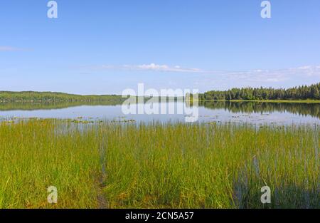 Blues Skies über einem offenen See auf Swan Lake in Das Kenai Wildlife Refuge in Alaska Stockfoto