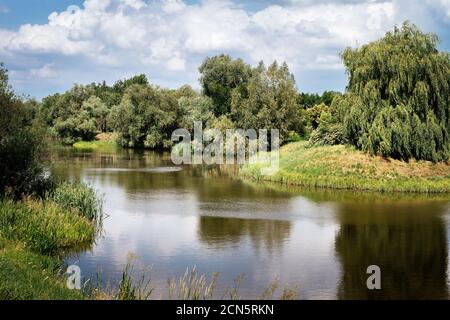 Weinende Weidenbäume spiegeln sich im Sloneczne Lake wider Stockfoto