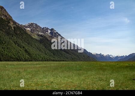 Grüne Felder und schneebedeckte Berge im Fiordland National Park, Neuseeland Stockfoto