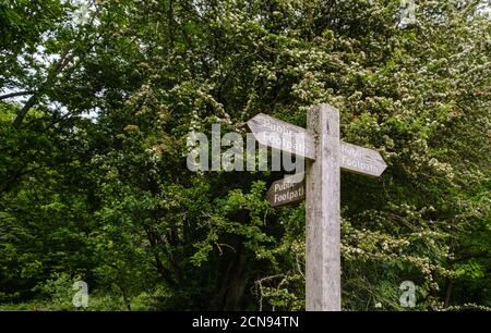 Rustikaler Holzpfosten mit ausgedehnten Schildern in drei Richtungen, die alle öffentlichen Fußweg in Ruislip Woods, Nature Preserve, Hillingdon, Northwest London sagen. Stockfoto