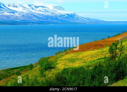 Idyllisch ruhige Landschaft am Fluss bei Akureyri, Island. Tolle isländische Fjorde. Schöner Sommer im Norden. Stockfoto