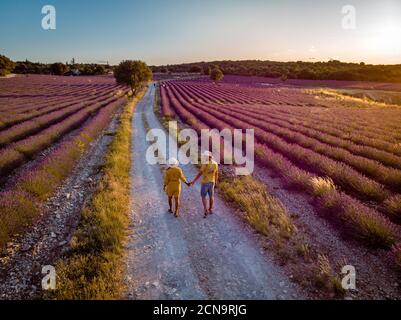 Lavendelfelder in der Ardeche im Südosten Frankreich Stockfoto