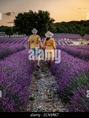 Ardeche Lavendelfelder in Südfrankreich bei Sonnenuntergang, Lavendelfelder in Ardeche in Südostfrankreich, Paar Männer und Wom Stockfoto