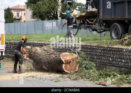 Baumchirurg mit Kettensäge Schneiden von Baum gefällt durch Sturm in der Stadt Verona, Venetien, Italien. Stockfoto