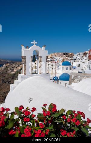 Santorini, Griechenland. Malerischer Blick auf die traditionellen kykladischen Häuser Santorinis in einer kleinen Straße mit Blumen im Vordergrund. Standort: Stockfoto