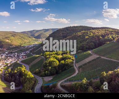 Luftaufnahme des Ahrtals bei sonnigem Sommer Tag auf dem Rotweinwanderweg Stockfoto